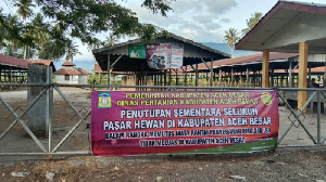 Antisipasi Penyebaran PMK, Pasar Hewan di Aceh Besar Ditutup Dua Minggu