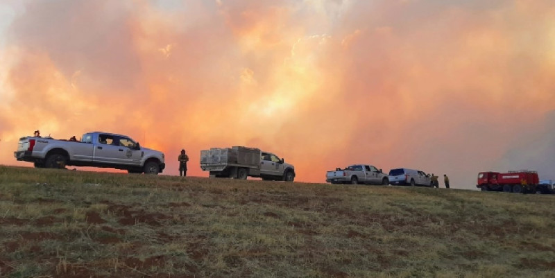 Gegara Hutan Terbakar, Gubernur New Mexico Minta Presiden AS Tandatangani Dekrit Bencana