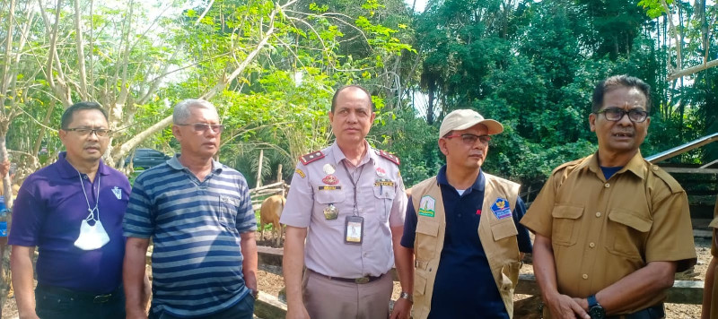 Kementerian Pertanian Tetapkan Aceh Tamiang Darurat Wabah PMK