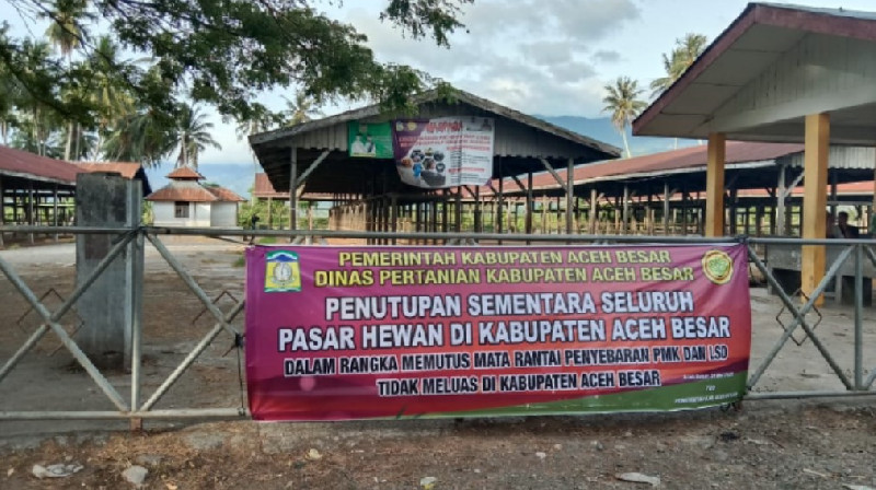 Antisipasi Penyebaran PMK, Pasar Hewan di Aceh Besar Ditutup Dua Minggu