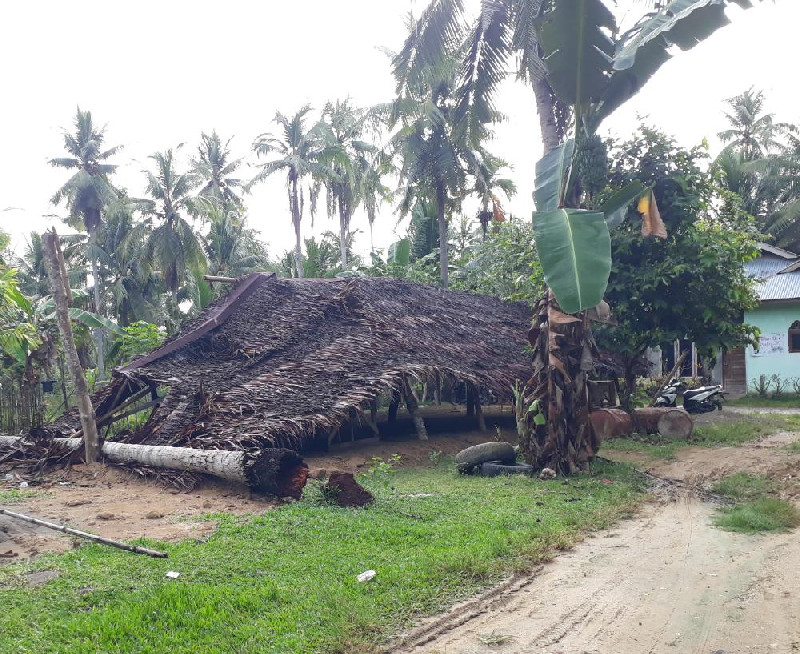 Pohon Tumbang Hantam Rumah Produksi Batu Bata di Aceh Utara