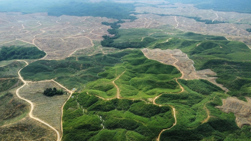 36.832 Hektare Kawasan Hutan di Kalimantan Timur Dilepaskan untuk IKN