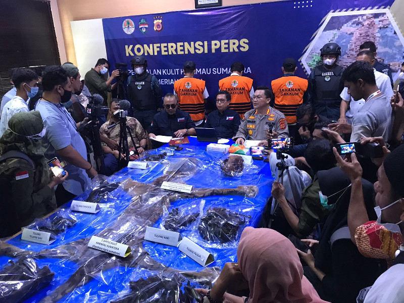 3 Pelaku Perdagangan Kulit Harimau Sudah Jadi Tersangka, Ditahan di Rutan Polda Aceh