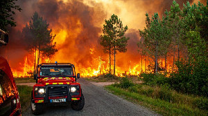 Ribuan Orang Lolos dari Kebakaran Hutan di Prancis, Spanyol, dan Yunani