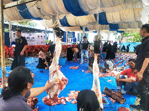 Syiarkan Hari Raya Idul Adha, Demokrat Aceh Sembelih 9 Ekor Sapi Kurban