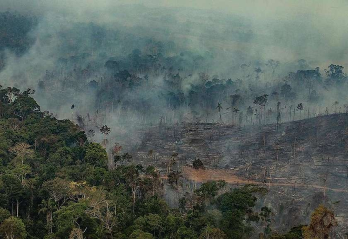 Hutan Amazon Brazil Catat Rekor Deforestasi Tertinggi Tahun 2022