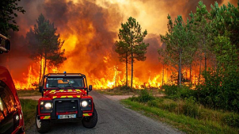 Ribuan Orang Lolos dari Kebakaran Hutan di Prancis, Spanyol, dan Yunani