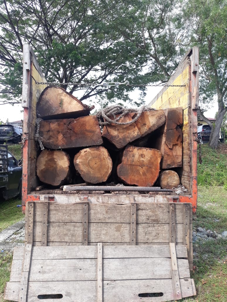 Polres Aceh Besar Ungkap Kasus Illegal Logging, Tiga Orang diamankan