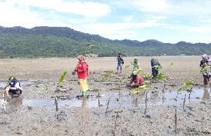 Konservasi Mangrove, Aksi Pemuda Dalam Penyelamatan Krisis Iklim di Aceh