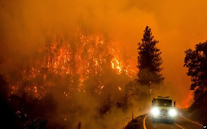 Kebakaran Hebat Hutan di California, Dua Orang Tewas