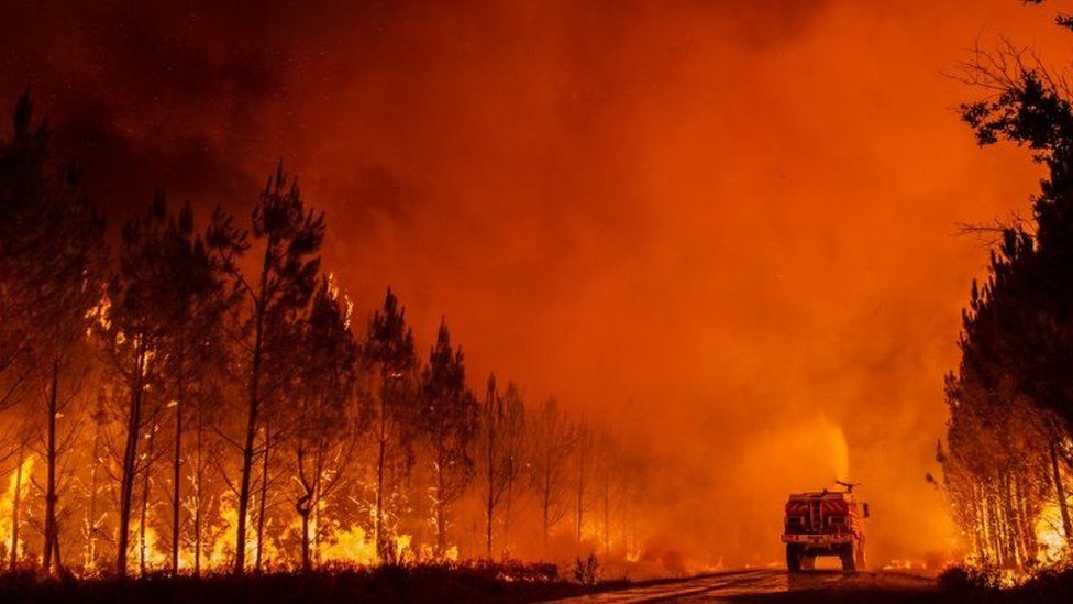 Damkar Prancis Berjuang Lawan Monster Kebakaran Hutan di Dekat Bordeaux