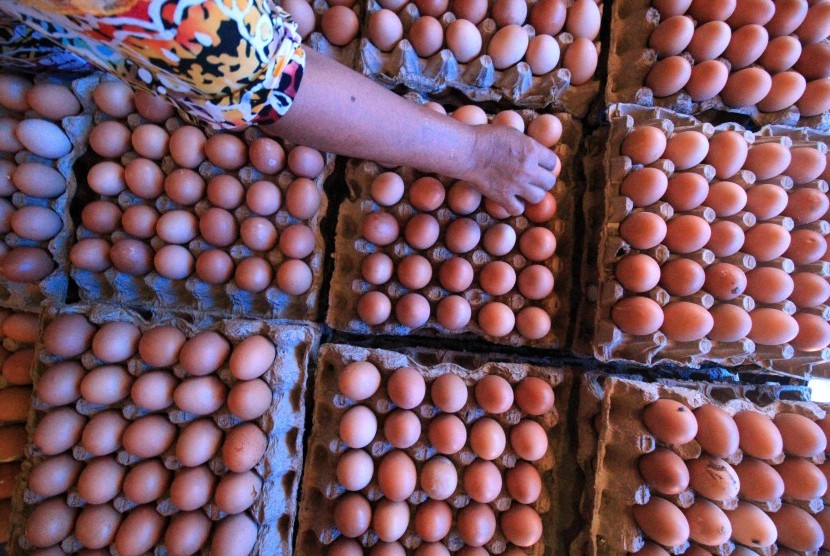 Harga Telur Ayam di Aceh Berkisar Rp 46-55 Ribu