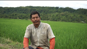 Petani Pidie Akui Sangat Terbantu dengan Program Gepeuaman Distanbun Aceh