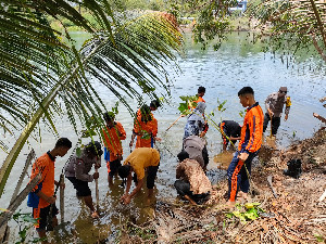 SMAN 1 Lhoknga Tanam Mangrove di Bantaran Sungai Krueng Raba