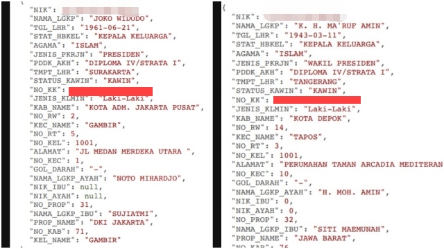 Hacker Bjorka Diduga Bocorkan Data Pribadi Jokowi dan Ma’ruf Amin
