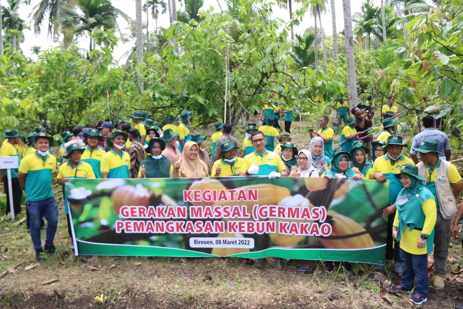 Tahun 2022, Distanbun Aceh Fokus Sosialisasi Pemangkasan Kakao Bagi Petani