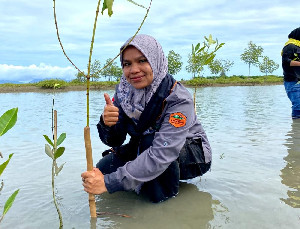 Cegah Abrasi Pesisir Pantai Aceh Besar, Pecinta Alam Tanam Mangrove