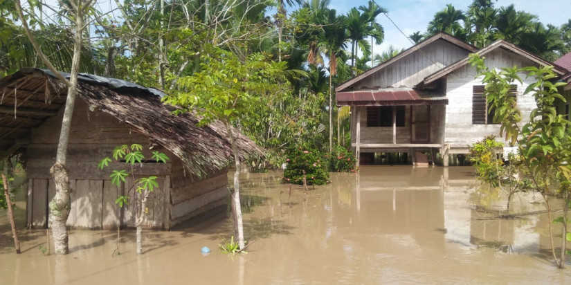 Aceh Utara Banjir, Sawah Seluas 230 Hektar Terancam Gagal Panen