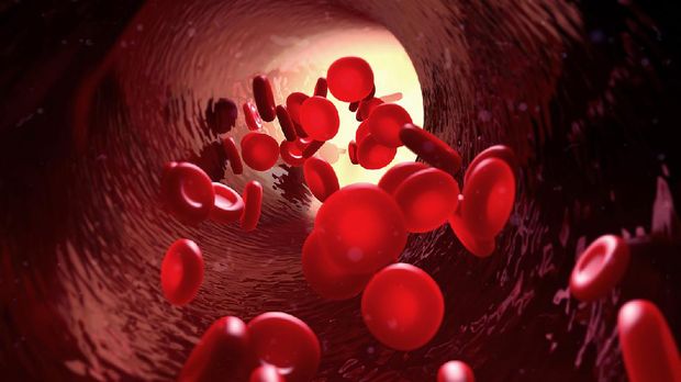 Peneliti Temukan Golongan Darah Baru yang Disebut Er