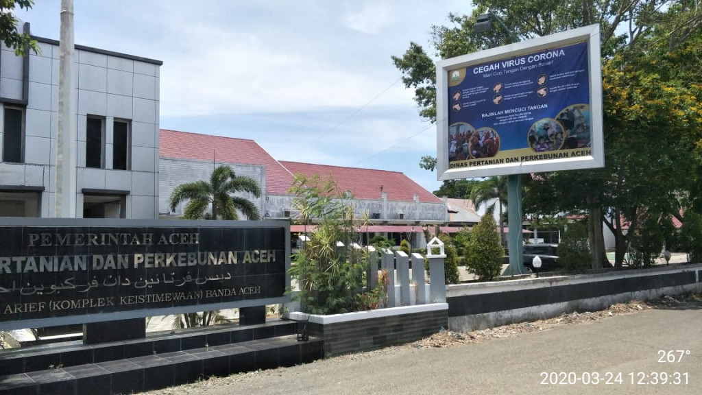 Koordinasi dengan Penangkar Bibit, Jalan Tempuh Distanbun Aceh Jaga Kualitas Perbenihan