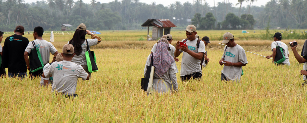 Distanbun Aceh Rutin Bekali Kelompok Tani dengan Ilmu Teknis Pertanian