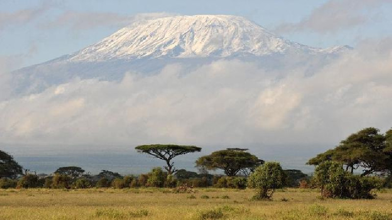 878 Tentara Tanzania Bantu Padamkan Kebakaran Gunung Kilimanjaro