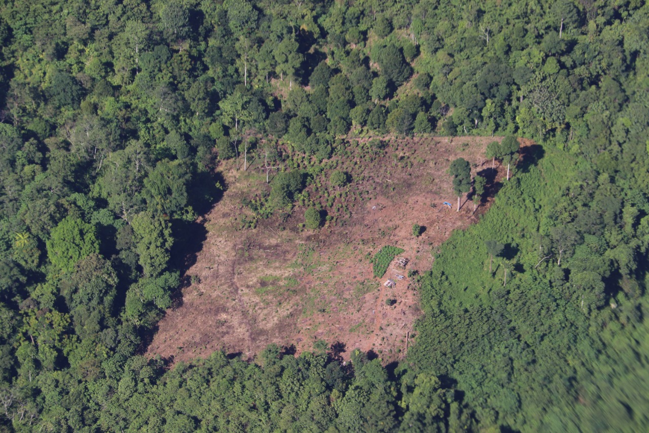 Polda Aceh Selidiki Dugaan Adanya Perambahan Hutan pada Proyek Jalan Jantho - Lamno