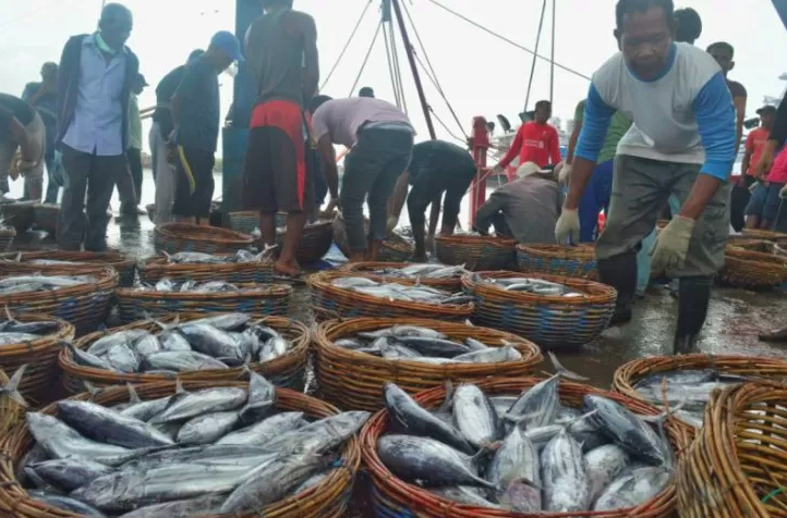 Faktor Cuaca Buruk, Harga Ikan di Banda Aceh Mulai Naik