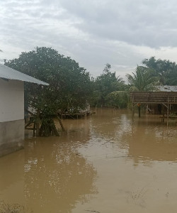 Curah Hujan Tinggi, 6 Desa di Aceh Tamiang Terendam Banjir