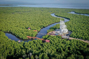 Pemkot Langsa Harus Keluarkan Aturan Tegas Terhadap Perlindungan Hutan Mangrove