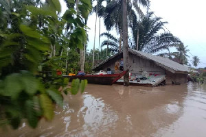 Sebanyak 866 Rumah di Aceh Timur Terendam Banjir, 549 Keluarga Mengungsi