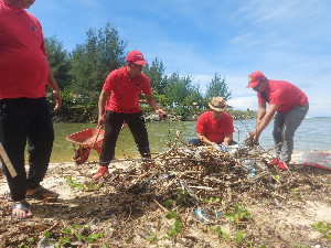 DPD PDIP Aceh Gelar Kegiatan Bersihkan Pantai dan Tanam Pohon di Lhoknga Aceh Besar