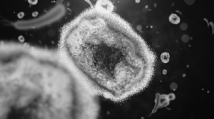 Ilmuwan Temukan Bukti Organisme Pemakan Virus