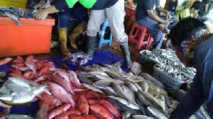 Imbas Tangkapan Menurun, Harga Ikan di Lampulo Naik