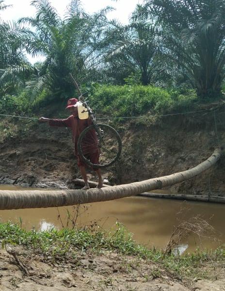 Pemkab Aceh Timur Diminta Tinjau Kondisi Jembatan di Desa Jambo Reuhat, Masyarakat: Kami Sangat Butuh