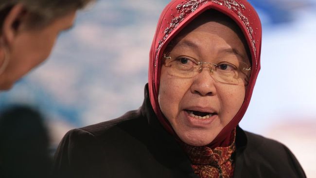 Banyak Pandangan Rendah Terhadap Megawati, Ini Kata Mensos Risma