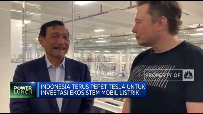 Soal Investasi Tesla di Indonesia, Ini Kata Luhut