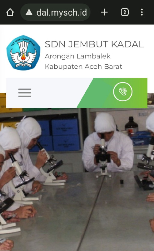 Terkait Viral Website 'SDN Jembut Kadal', Disdik Aceh Barat Belum Bersikap