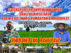 Petani Padi Samatiga Aceh Barat Binaan RTA Sukses Panen 15 Ton Perhektar