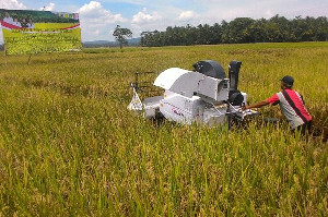 Kementan Dorong Penguatan Sektor Pertanian sebagai Bantalan Ekonomi Nasional