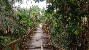 Jembatan Penghubung Dua Desa di Aceh Utara Rusak Parah