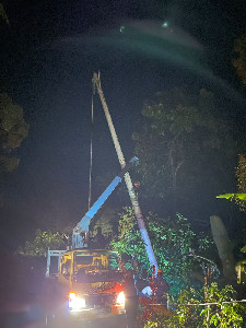 Petugas PLN Sigap Pulihkan Listrik Pasca Tumbang Pohon di Tangse Pidie