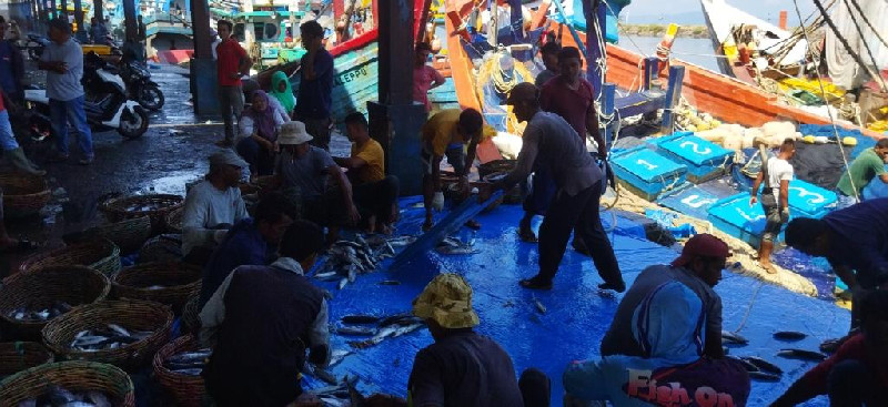 Meugang Sepi Pembeli, Harga Ikan di TPI Lampulo Turun Drastis