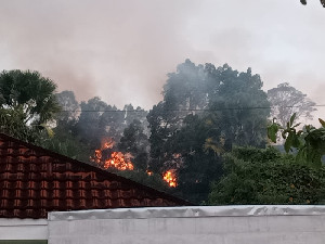 Kebakaran Lahan Satu Hektar di Bukit Indah, Personel Polsek Muara Satu Datangi TKP
