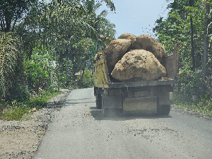 Diduga Ilegal, Polda Aceh Diminta Tindak Penambangan Batu Gajah di Pante Karya dan Pulo Harapan