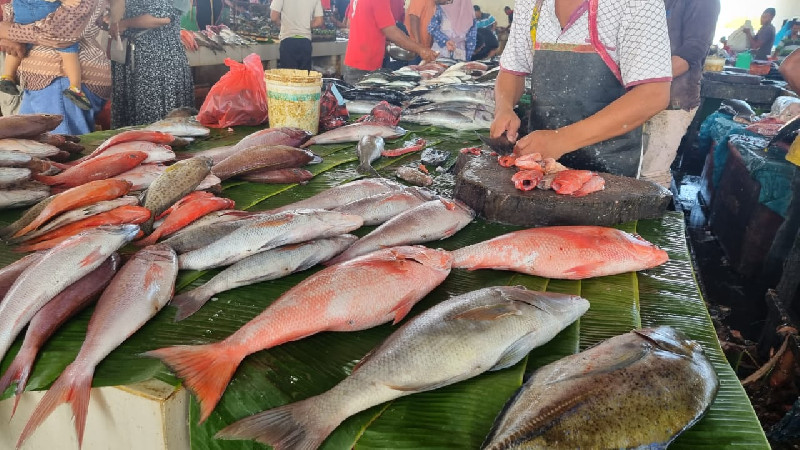 Jelang Idul Fitri 1444 H, Harga Ikan di Aceh Utara Menurun