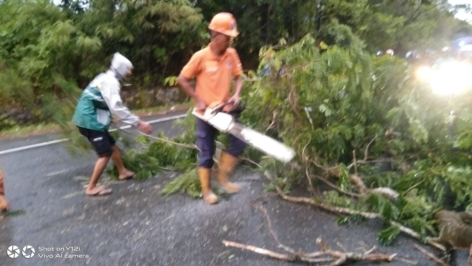 Tim BPBD Aceh Besar Atasi Pohon Tumbang dan Banjir
