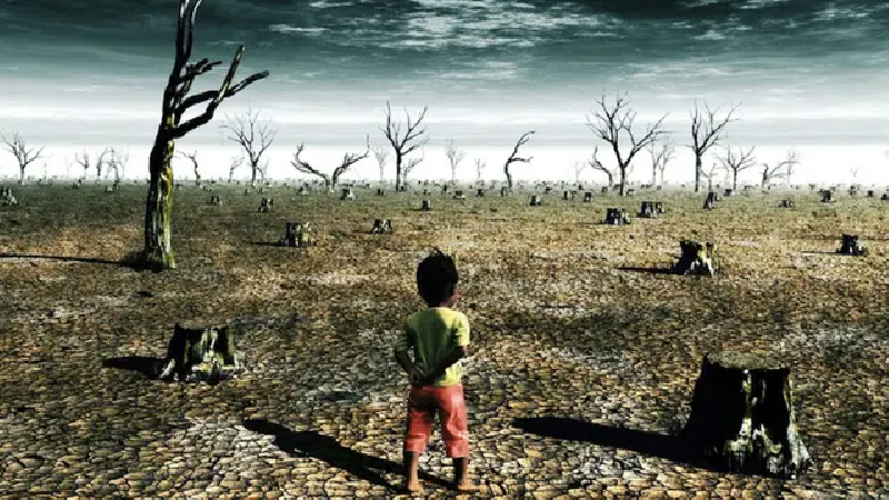Laporan PBB: Perubahan Iklim Sebabkan Dua Juta Kematian dalam 50 Tahun