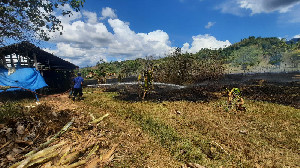 Bakar Sampah Tanpa Pengawasan, Satu Setengah Hektare Lahan di Aceh Besar Terbakar