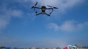 Insiden Hiu Meningkat, Lusinan Drone Pemantau Bakal Dikerahkan